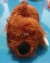 Mascotas Perro Duke