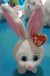 Mascotas conejo snowball