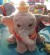Dumbo