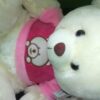 Peluche Oso con camisa