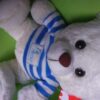 Peluche Oso Blanco con camisa TE AMO