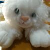 DP-0017 Gato