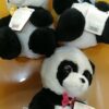 Panda Jony DP-1010-24